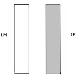 Diagram of two cores of tissue