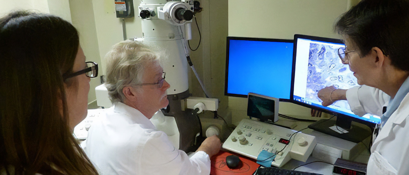 Three pathologists looking at a computer screen