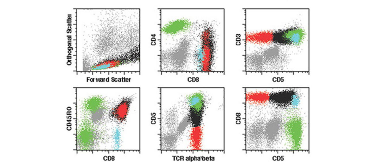 Flow Cytometry Scatter Plot