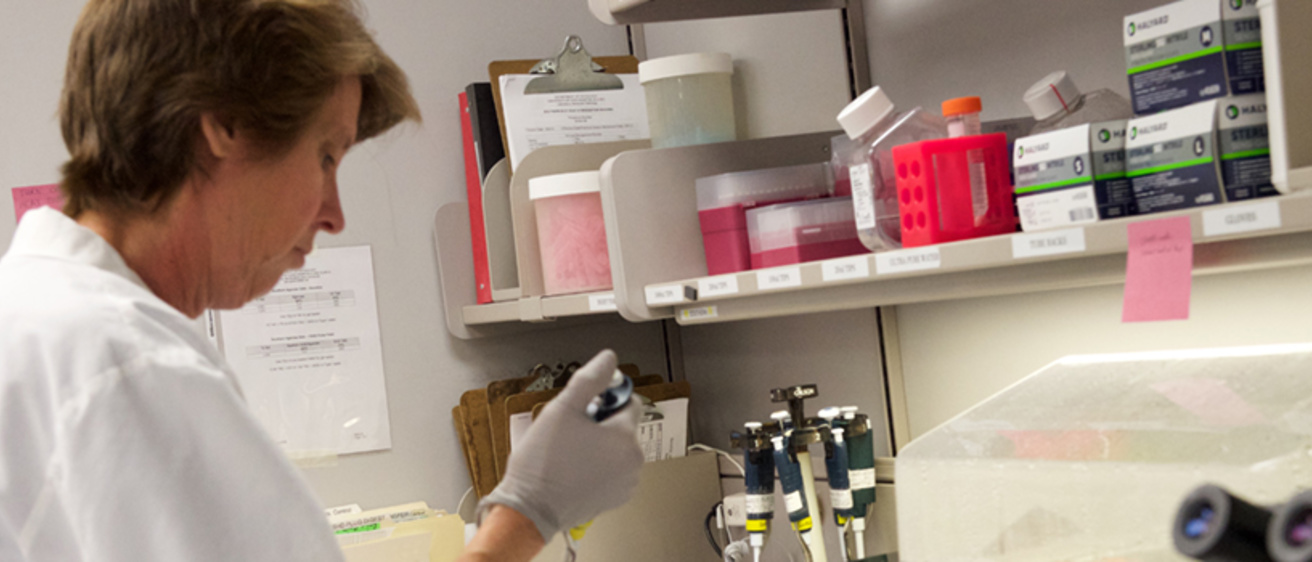 Molecular Pathology Genetic Testing Instructions